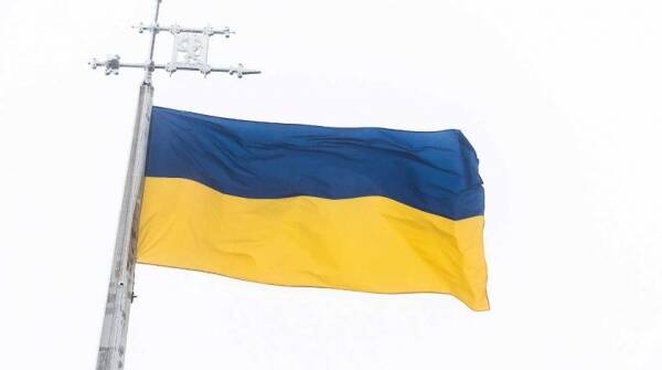 Украинские депутаты устроили драку на дороге