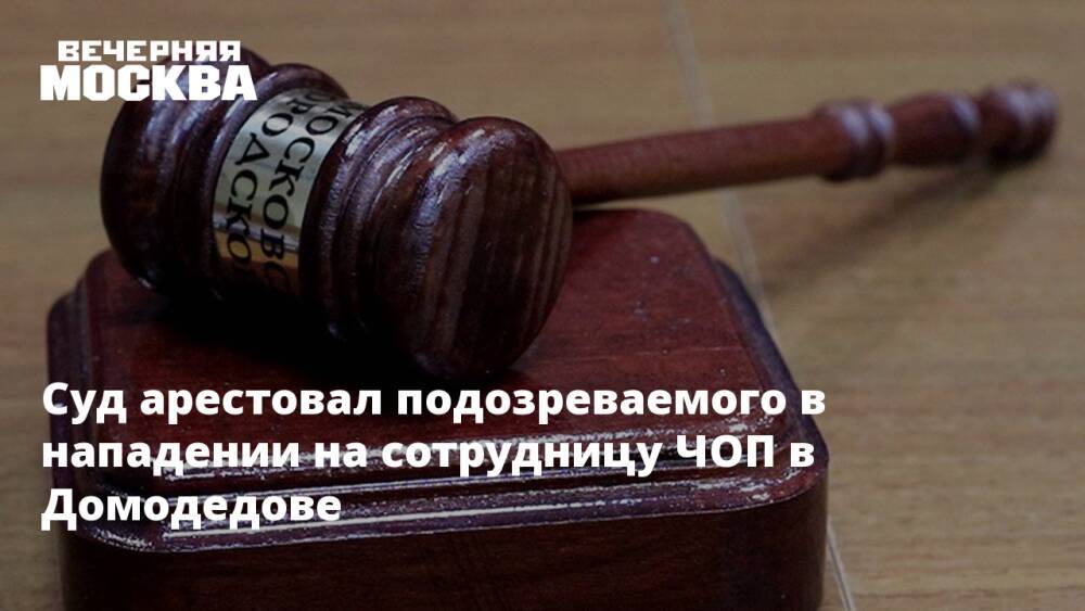Суд арестовал подозреваемого в нападении на сотрудницу ЧОП в Домодедове