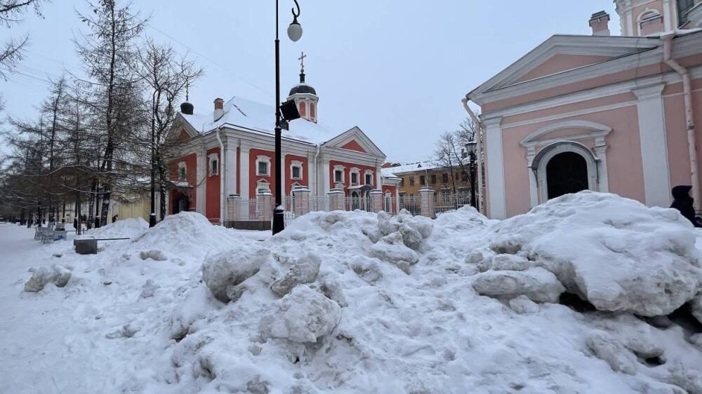 Актриса Семак поддержала решение обратиться к Путину из-за плохой уборки снега в Петербурге