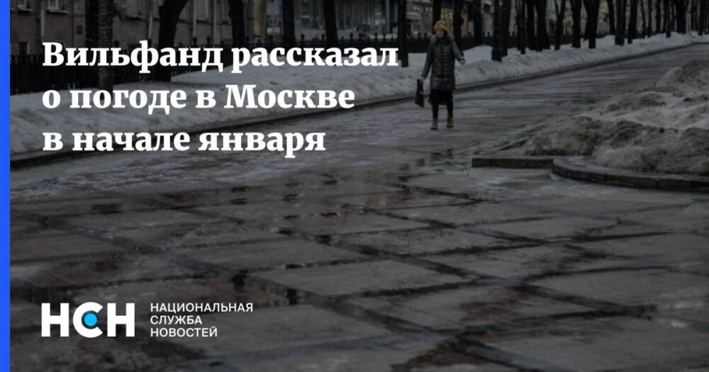Вильфанд рассказал о погоде в Москве в начале января