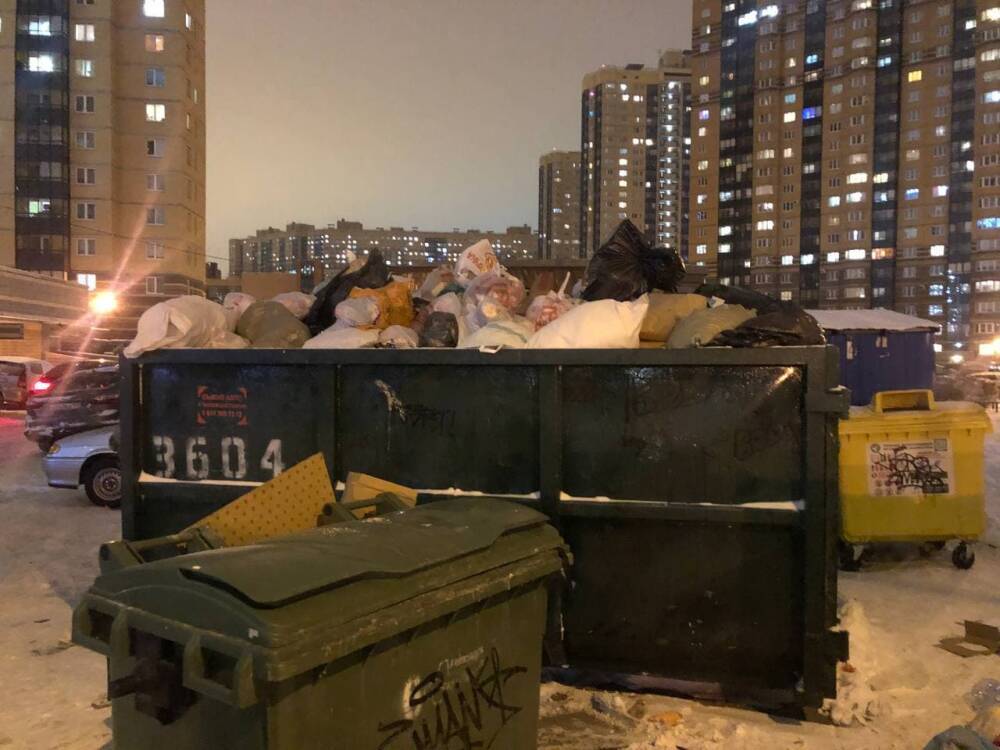 Петербуржцам испортили «новогоднее настроение» горы мусора