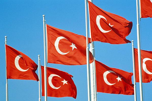 Россиянина арестовали в Турции по подозрению в связях с террористами