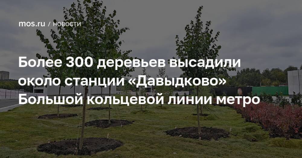Более 300 деревьев высадили около станции «Давыдково» Большой кольцевой линии метро