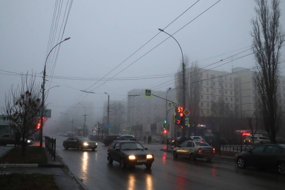 МЧС предупредило тамбовчан о тумане и плохой видимости на дорогах в ближайшие часы