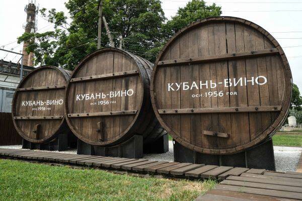 Экспорт российских вин в 2021 году вырастет на треть