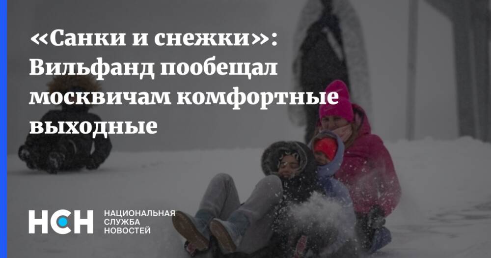 «Санки и снежки»: Вильфанд пообещал москвичам комфортные выходные