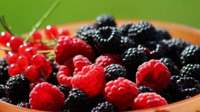 В этом году Украина увеличит экспорт фруктов, ягод и орехов на 13% — УКАБ