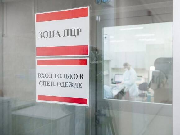 РБК: В России могут разрешить получать QR-коды по отрицательным ПЦР-тестам