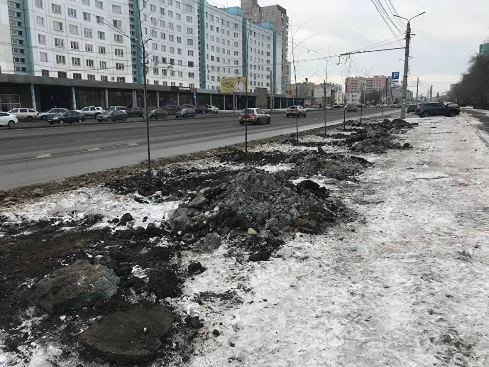 В Челябинске активисты нашли массовые нарушения при озеленении Комсомольского проспекта