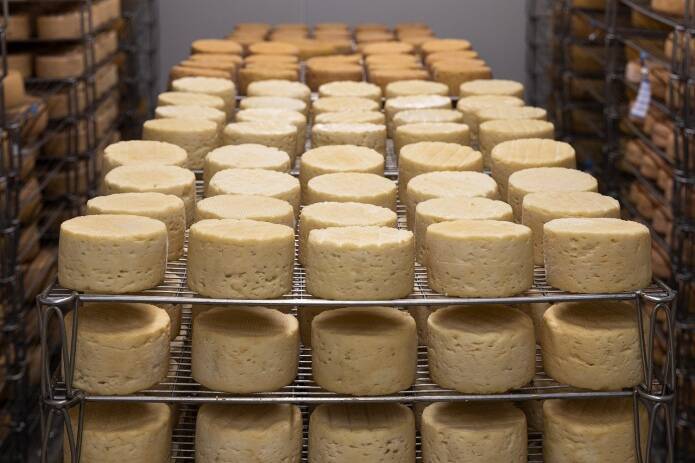 Для производителей сыра складываются благоприятные условия