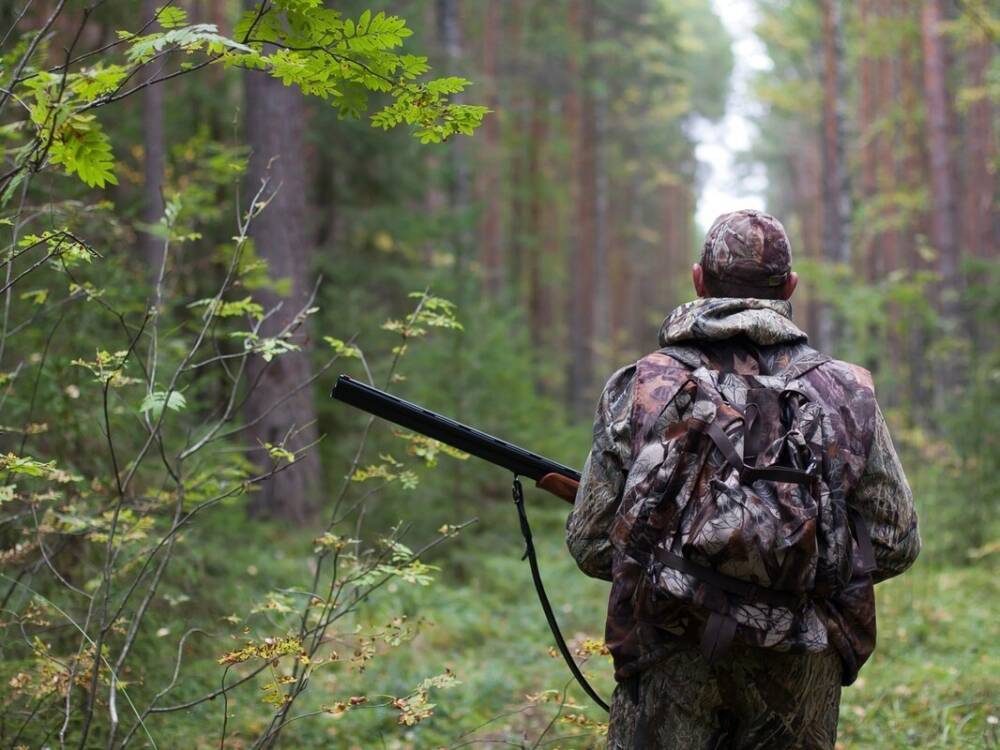 В Украине ужесточили наказание для браконьеров: к кому и в каких случаях будут применять санкции