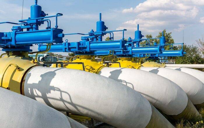 Из-за цены на газ в Украине подорожает все – Соболев