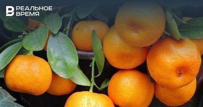 В Минпромторге не ожидают нехватки мандаринов перед Новым годом