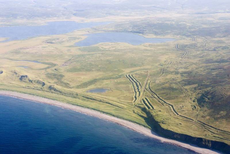 Сахалинский губернатор заявил о желании датской компании арендовать часть одного из Курильских островов