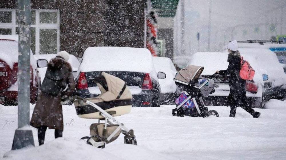 Правозащитницу Яганову возмутило качество уборки снега в Петербурге
