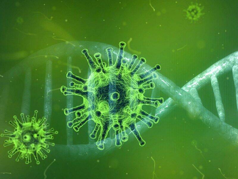 Тайна «омикрона» раскрыта: штамм скопировал геном человека, чтобы стать более заразным