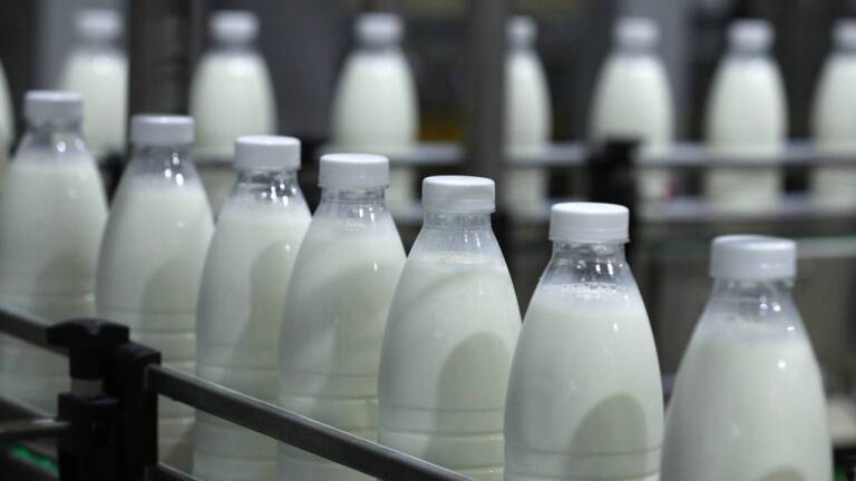 В Петербурге на 6-8% подорожает молочная продукция