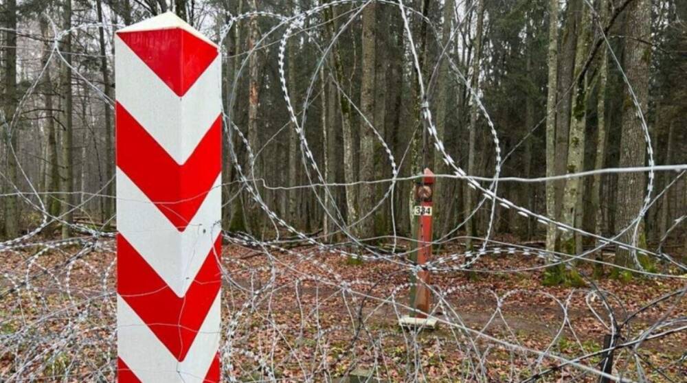 Польскую границу снова штурмовали нелегальные мигранты
