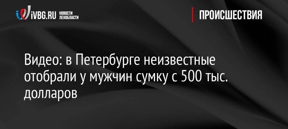 Видео: в Петербурге неизвестные отобрали у мужчин сумку с 500 тыс. долларов