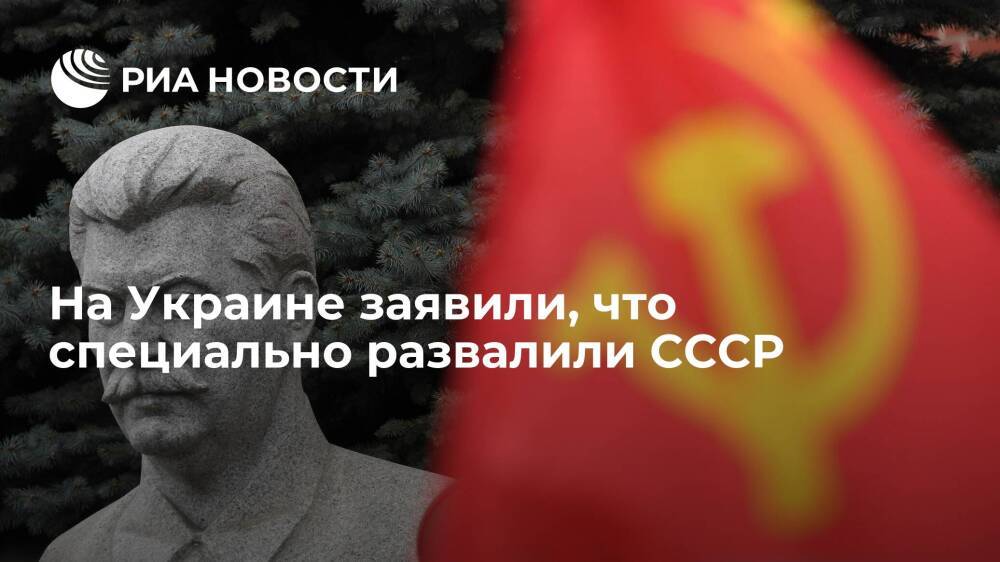 Киевский экономист Савченко заявил, что украинцы развалили СССР ради мести