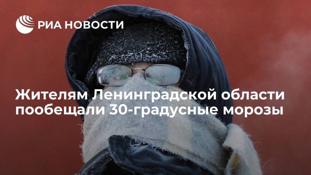 МЧС предупредил жителей Ленинградской области о морозах до 30 градусов в ночь на понедельник