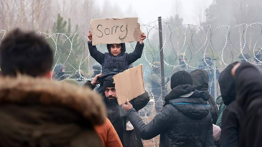 Пушков прокомментировал заявление Резникова о «миллионах» беженцев в Европе