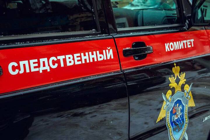 Пострадавшую от удара током в новосибирском троллейбусе вызвали в СК