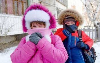 Мэр Вологды ответил, отменят ли занятия в школах из-за сильных морозов