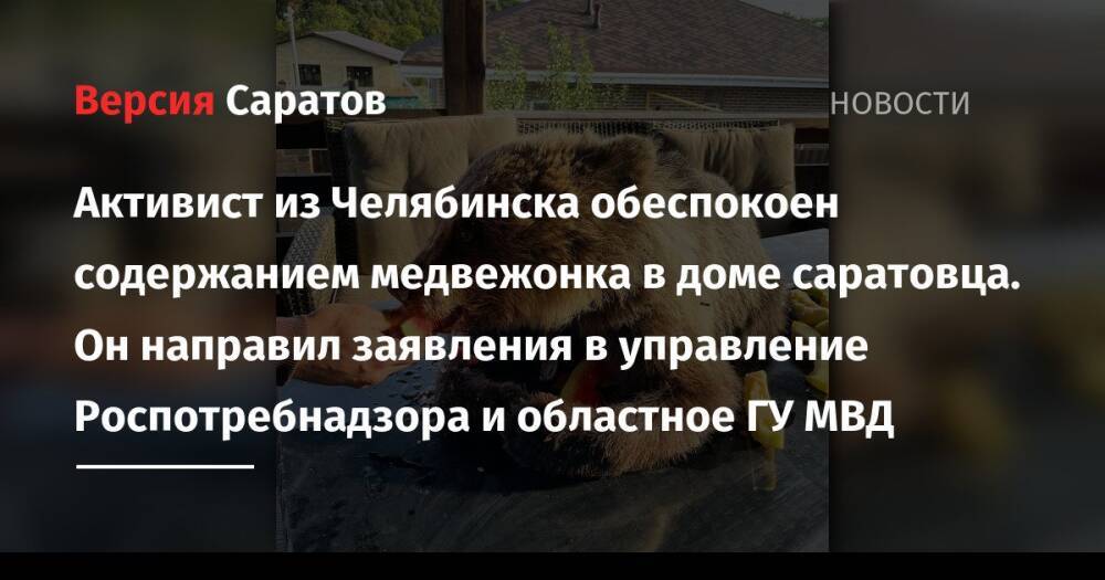 Активист из Челябинска обеспокоен содержанием медвежонка в доме саратовца. Он направил заявления в управление Роспотребнадзора и областное ГУ МВД