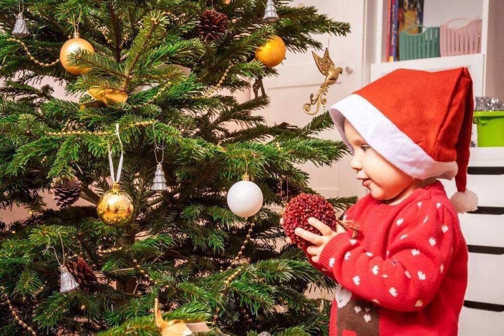 Петербургские школы и детсады призвали отмечать Новый год дома