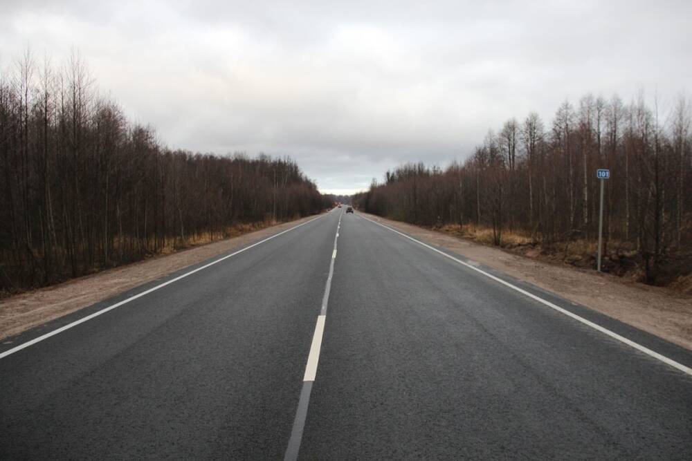 8 дорог к социально значимым объектам отремонтировали по нацпроекту в Псковской области