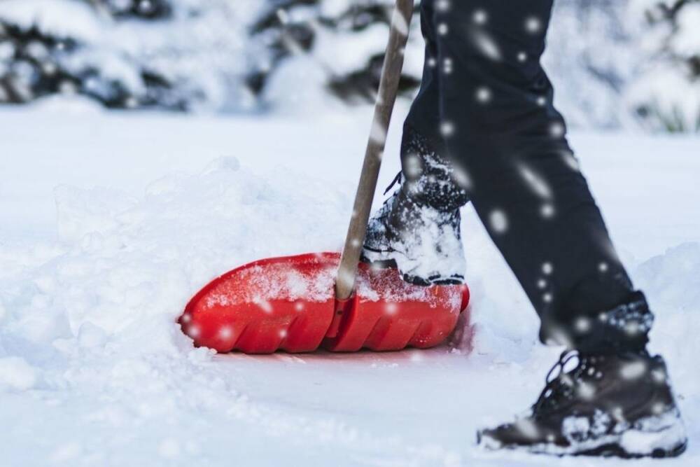 Петербуржцы стали в семь раз чаще искать уборщиков снега
