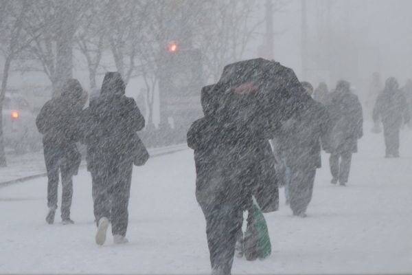 МЧС предупредило рязанцев о снегопаде и сильном ветре