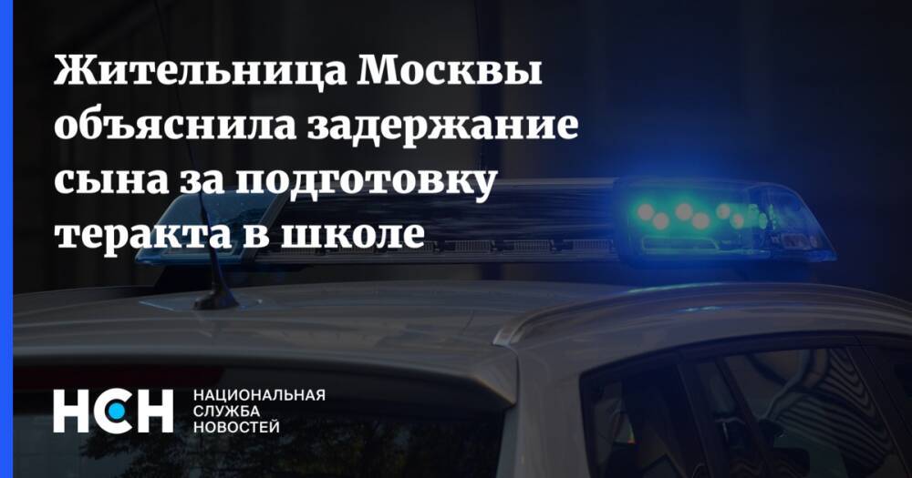 Жительница Москвы объяснила задержание сына за подготовку теракта в школе