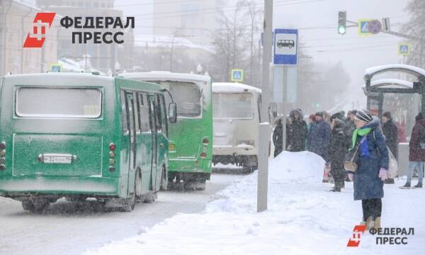 На Среднем Урале из-за антиваксеров дети ходят в школу 2,5 км по замерзшей реке