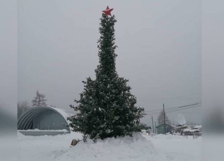 Жители поселка в Якутии пожаловались на новогоднюю елку фаллической формы