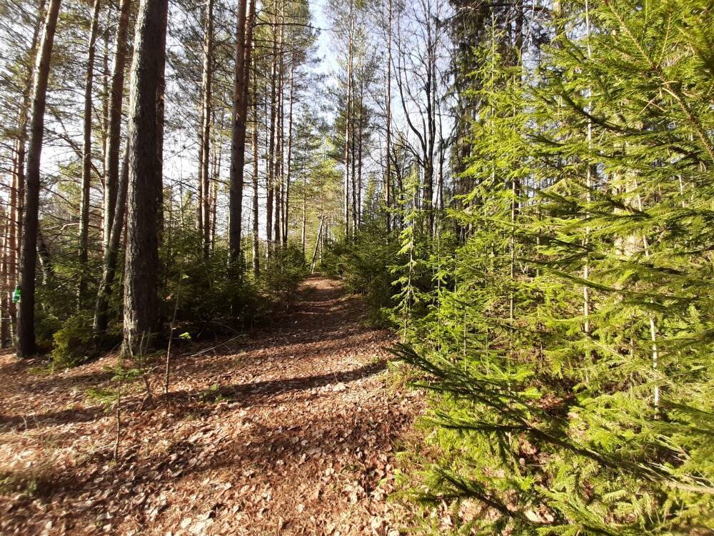 Министерство лесного пермский край