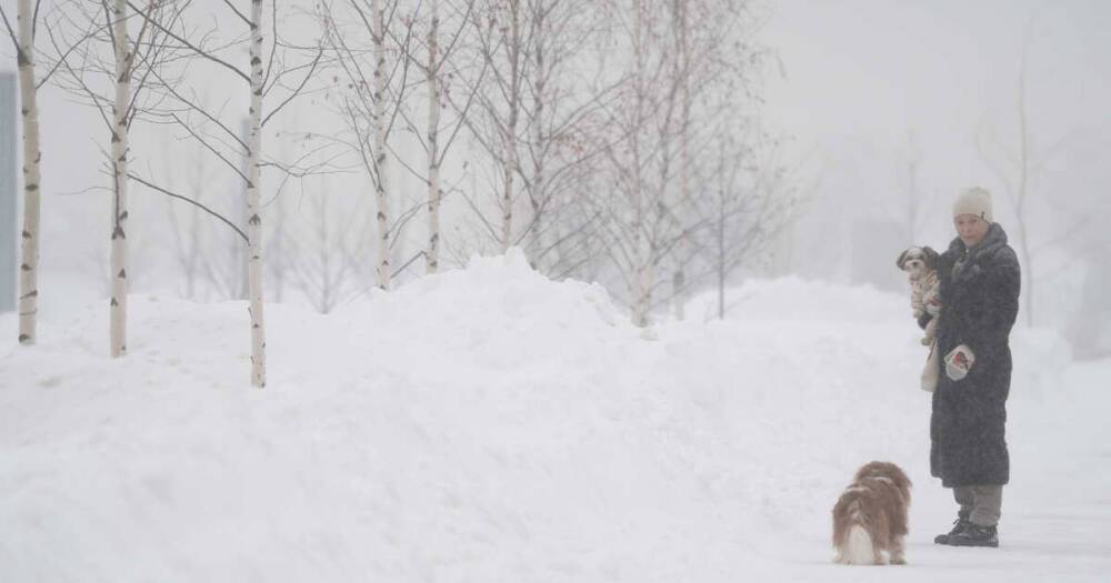 В Москве в среду ожидаются мороз и снегопад
