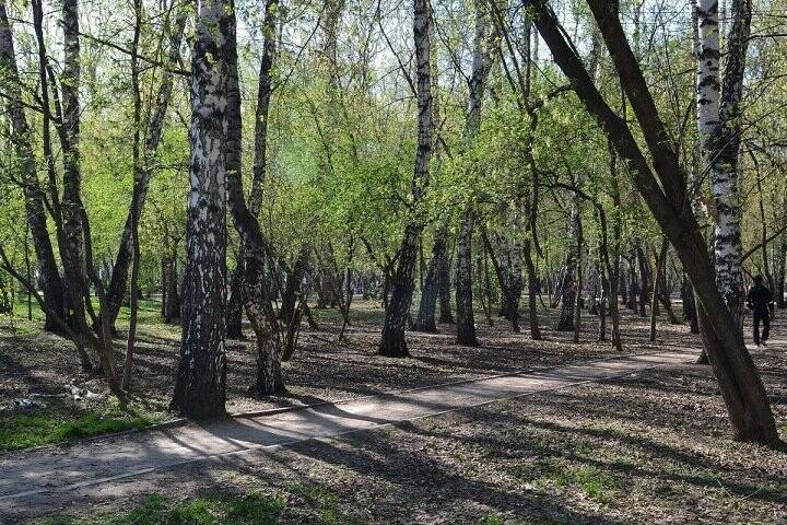Дело насиловавшего женщину в парке новосибирца дошло до суда