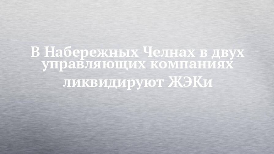 В Набережных Челнах в двух управляющих компаниях ликвидируют ЖЭКи