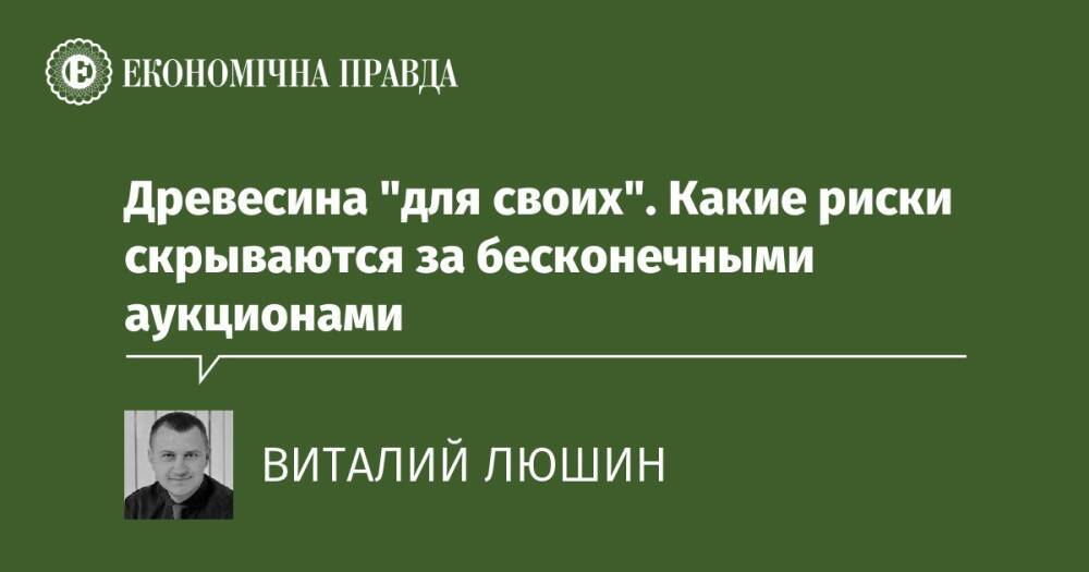 Древесина "для своих". Какие риски скрываются за бесконечными аукционами