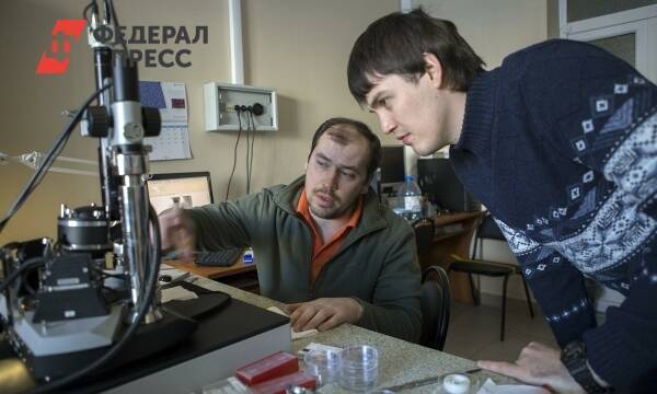 В правительстве пообещали повысить уровень жизни российских ученых