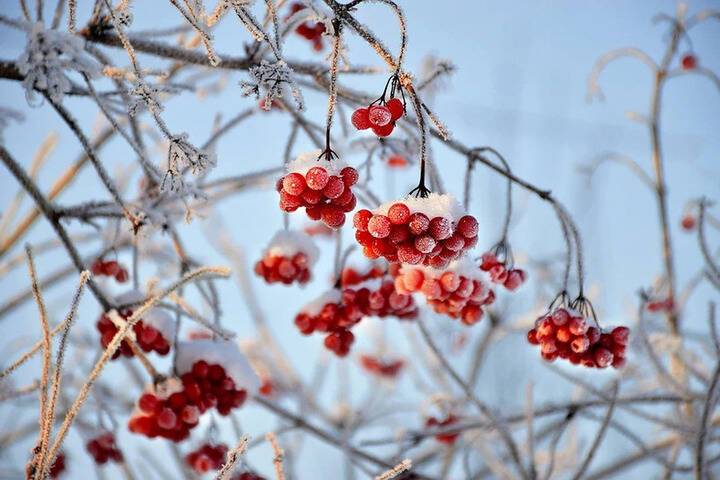 9 декабря в Рязанской области похолодает до -9 градусов