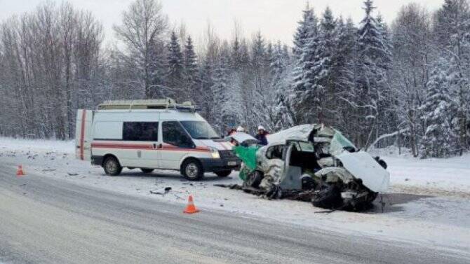 Два человека погибли в ДТП в Новгородской области