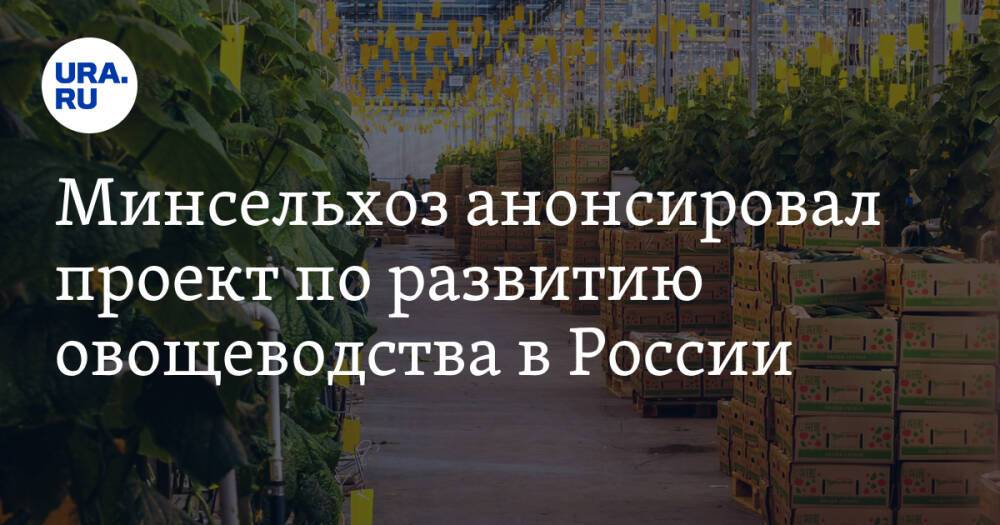 Минсельхоз анонсировал проект по развитию овощеводства в России