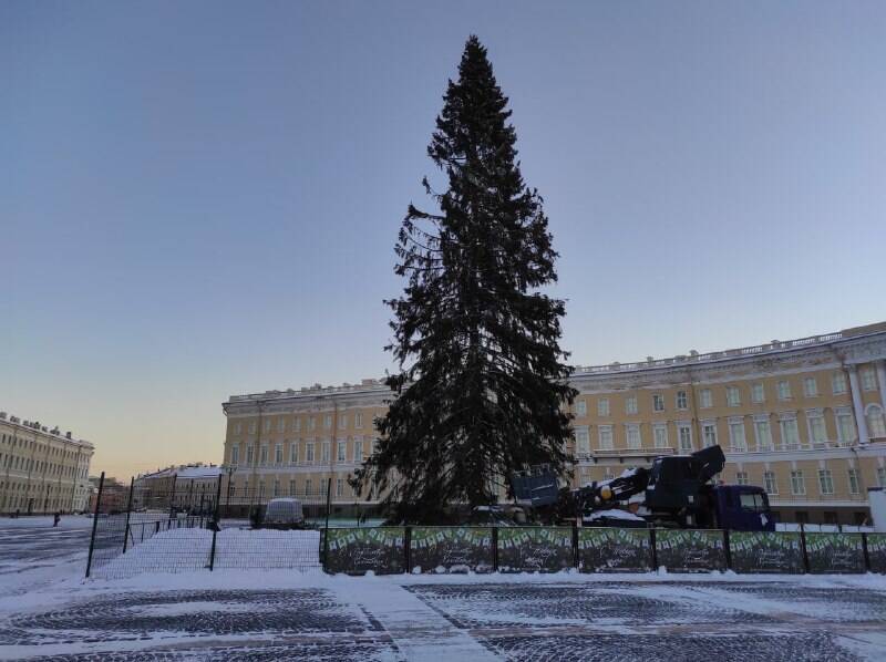 Петербуржцы остались недовольны главной елкой на Дворцовой площади