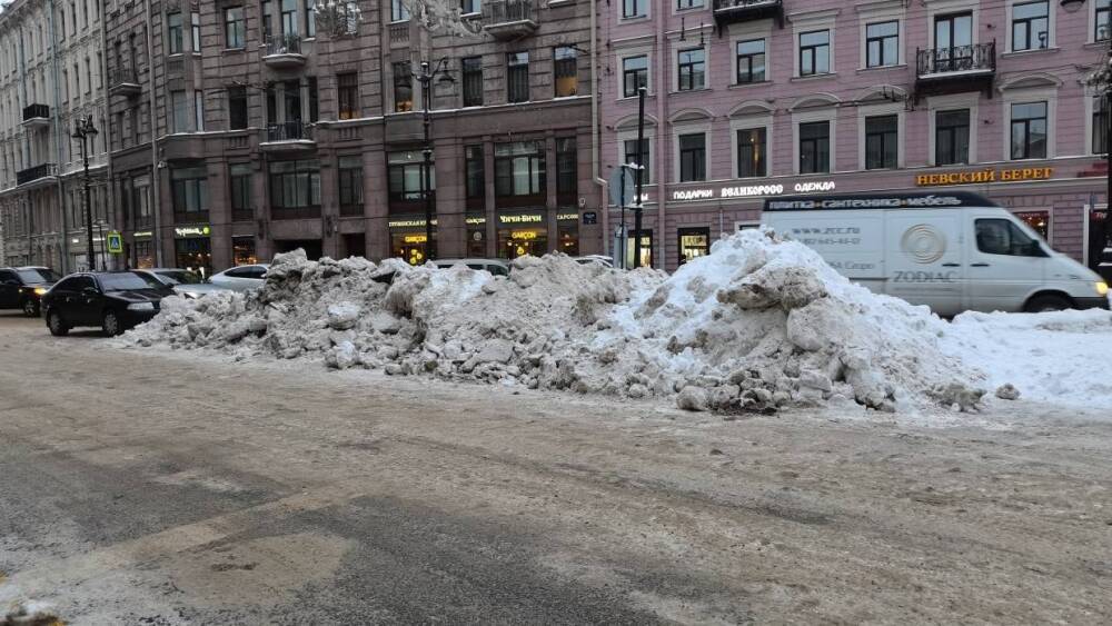 Спикер ЗакСа заявил о невозможности закупить необходимое количество техники для уборки снега в Петербурге