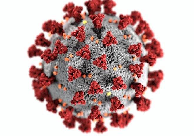 Вирусолог объяснил, почему невозможно победить коронавирус