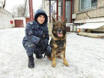 Под Вологдой пес Грей помог полицейским поймать любителей металлолома