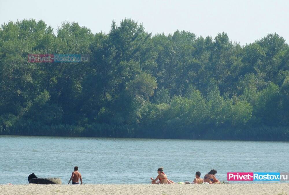 Состояние водоемов в Ростовской области назвали плачевным